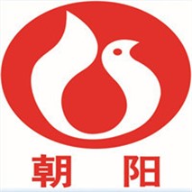 朝陽(yáng)泵業(yè)QZ軸流、QH混流潛水電泵